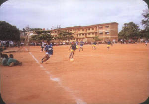 pix3.jpg